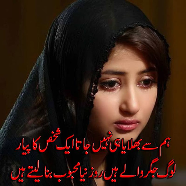 Hum Se Bhulaya Hi Nahi Jata Ek Shakhs Ka Pyar Log Jigar Wale Hein Roz Naya Mehboob Bana Lete Hein Hum Se Bhulaya Hi Nahi Jata Ek Shakhs Ka Pyar Log Jigar Wale Hein Roz Naya Mehboob Bana Lete Hein