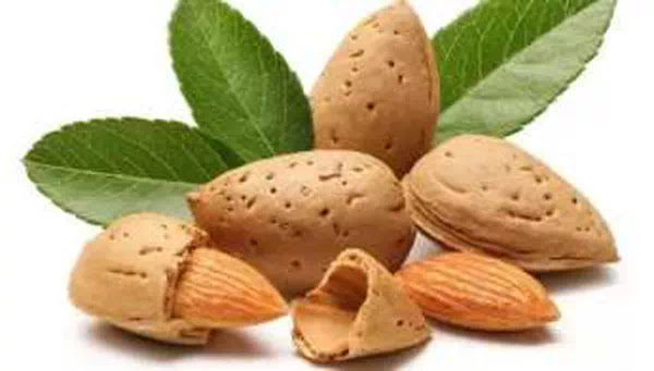 manfaat kacang almond bagi kesehatan