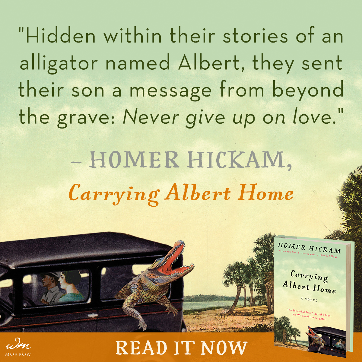 Special offer for Carrying Albert Home and all Homer Hickam books for the Holiday season