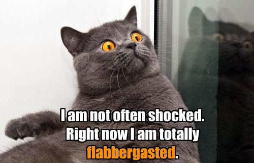 Right now I'm totally flabbergaster