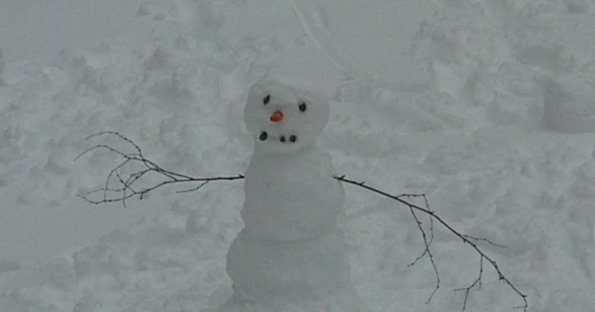 Happenings in Lempster