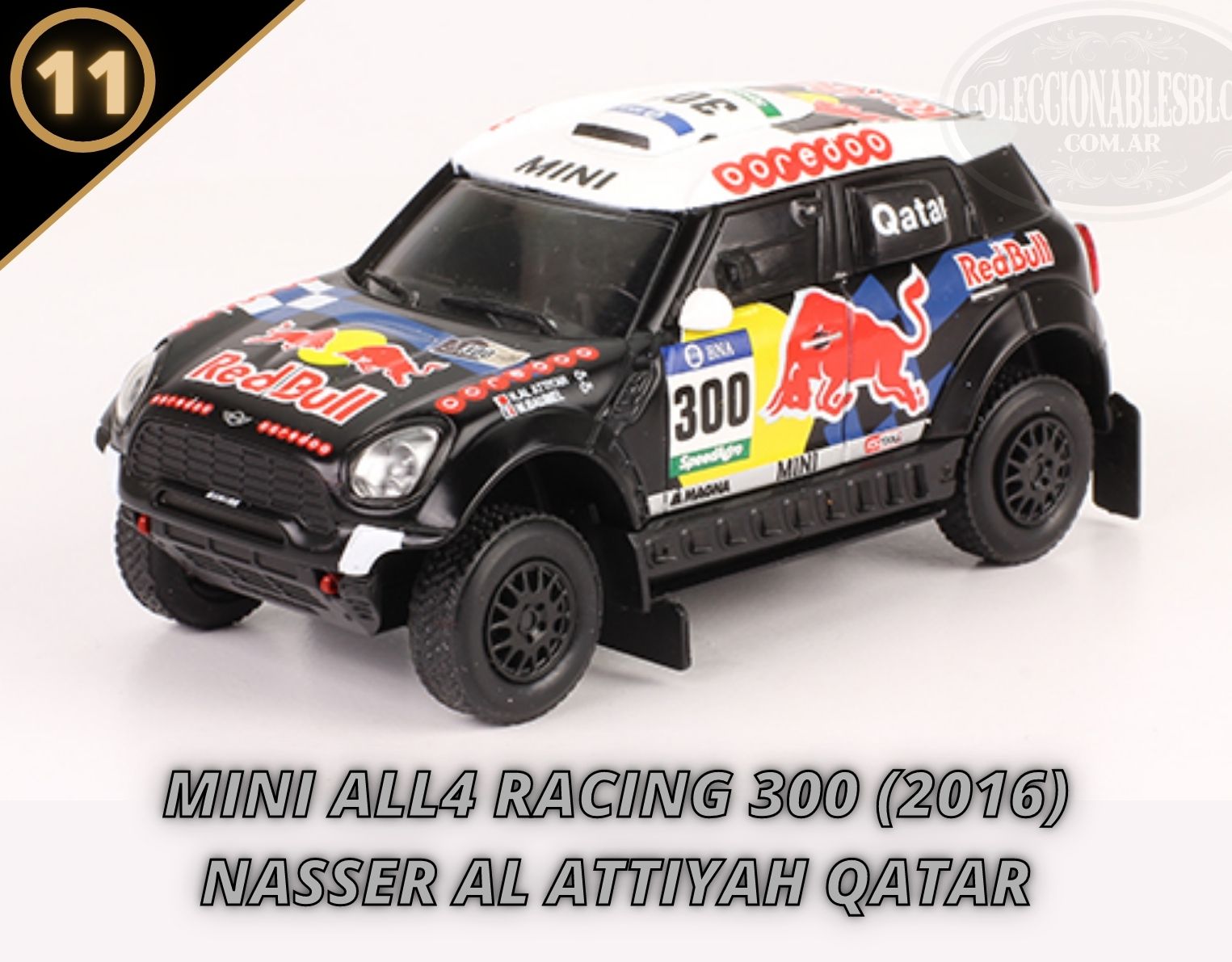 rally dakar 2%2B%2B%2B %2B%252811%2529