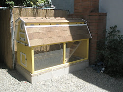 coop chicken concrete yarnhog painted drab especially looked bare really