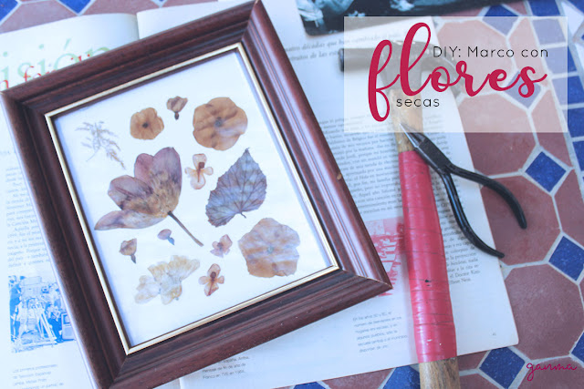 DIY: Cuadro con flores secas