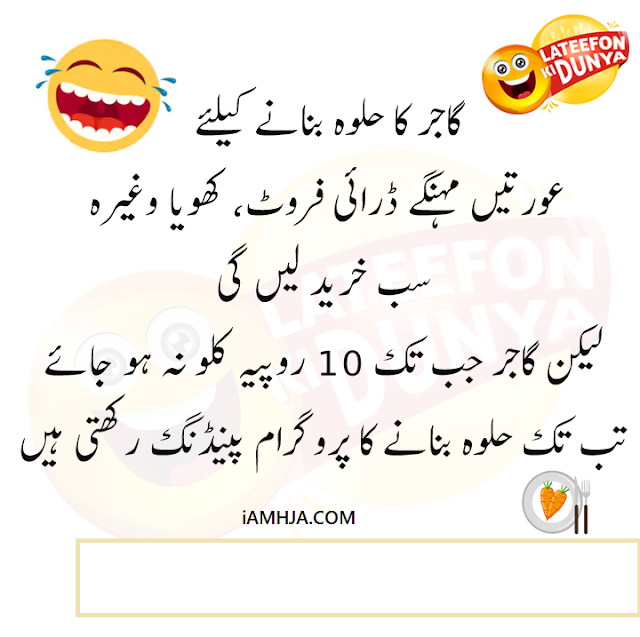 Funny Jokes in Urdu