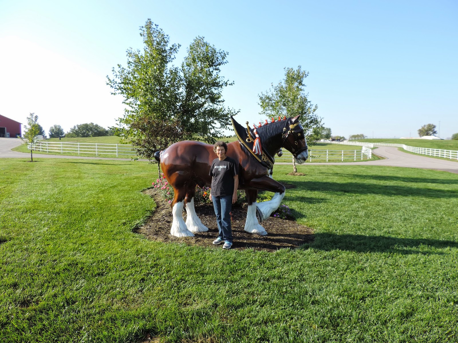 JUST ME: Visiting Warm Springs Ranch at Boonville, Missouri