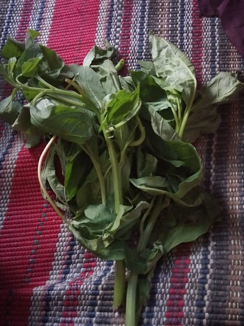 IMG-20191125-WA0045 Kuliner Khas Ala Desa Ngadirejo