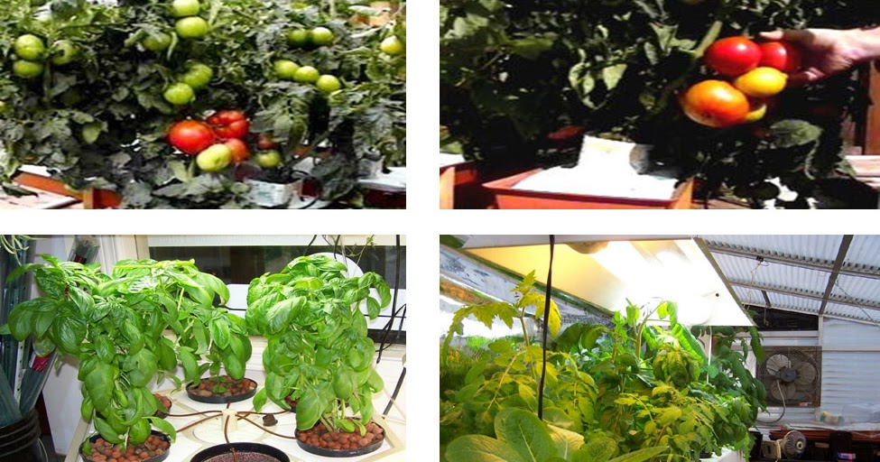 Hydroponic Gardening Supplies - Here s an easy Do It Yourself compact