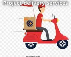 Project delivery services
