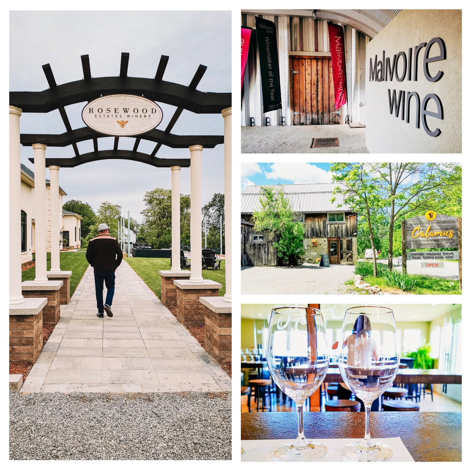 The Yum Yum Factor The Week In Yum More Bench Adventures