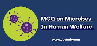 Microbes in human welfare mcq