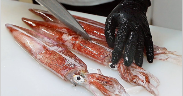 How to Catch Squid - Catching, Cleaning and cook