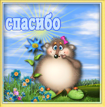 Спасибо за гостеприимство и радушный прием в картинках