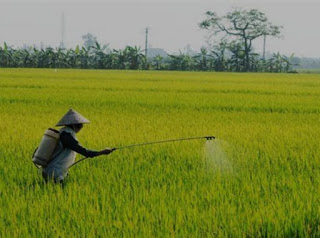 Vestige Agri Humic