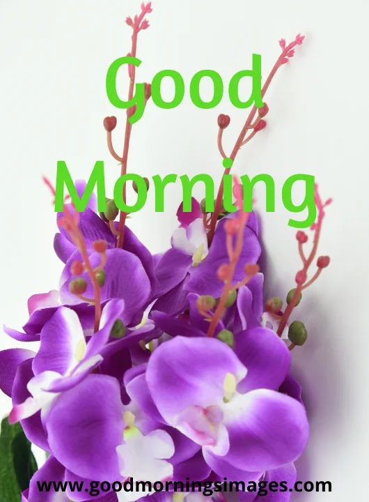 Good Morning Images hindi Good Morning Images hindi