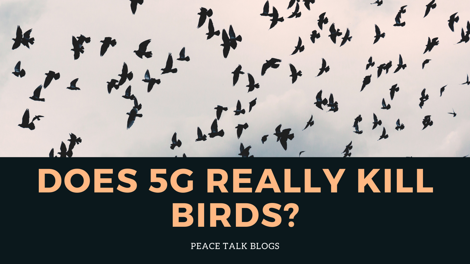 Does 5G really kill birds? Is It True or False? Explained