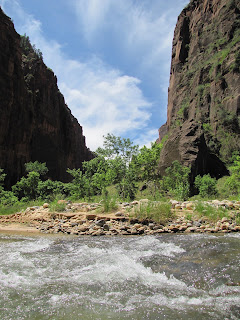 IMG_8997.JPG