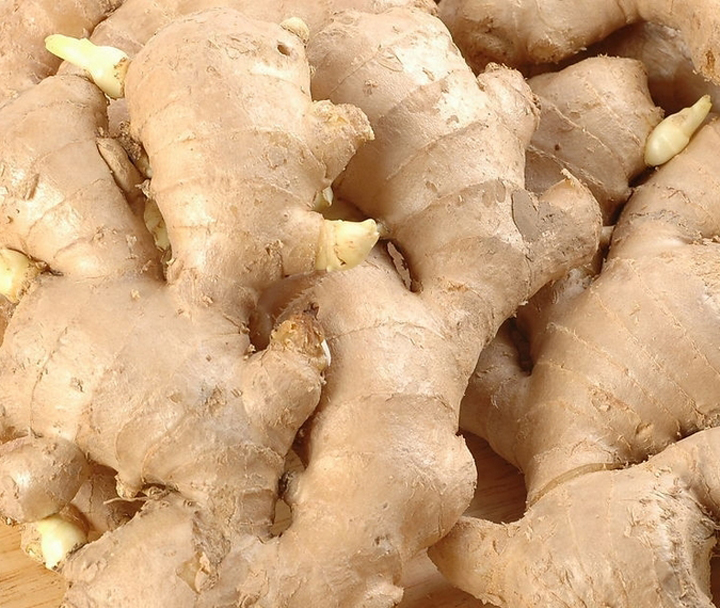 薑生活的必需品--不論是薑膠囊、薑茶、薑萃取物、薑絲或薑片都具有療效