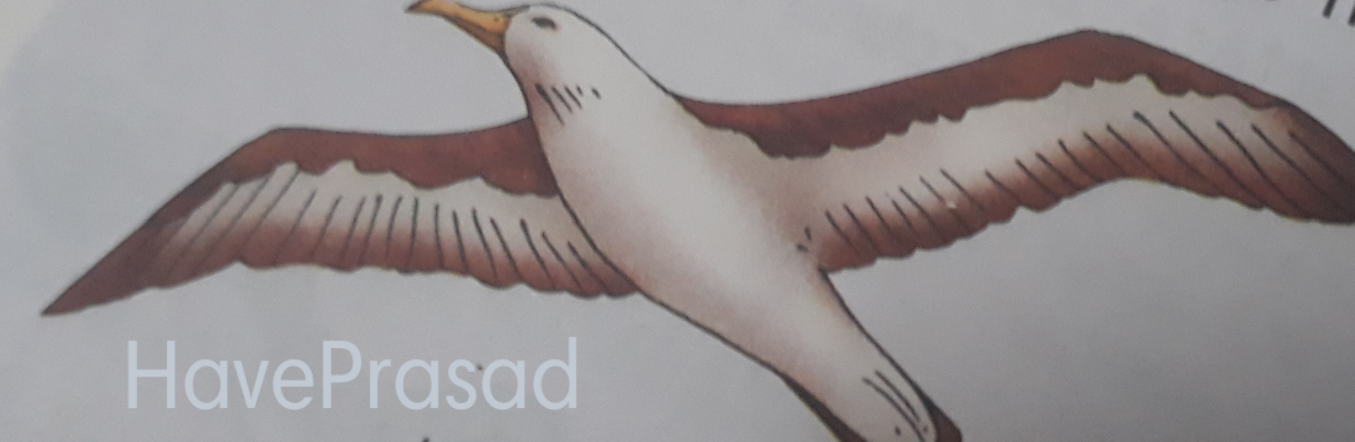 How do animals move ? I How do animals move without bones ? How do