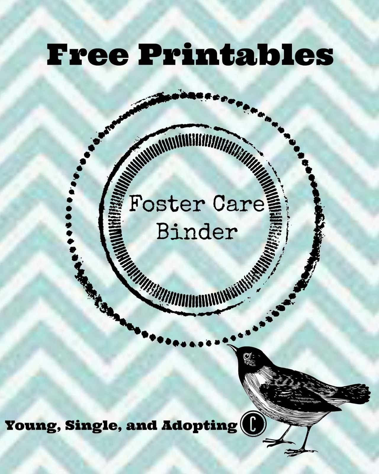 young-single-and-adopting-foster-care-binder