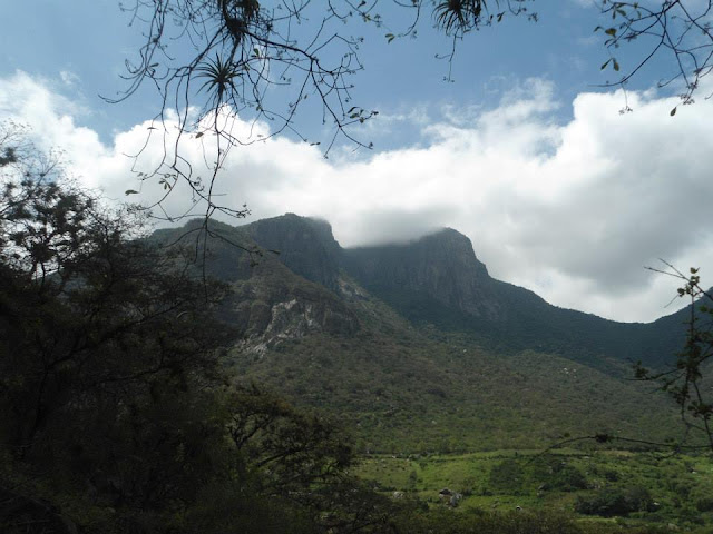 parque, Santuario, rea natural, bosque, laguna, flora, fauna, turismo