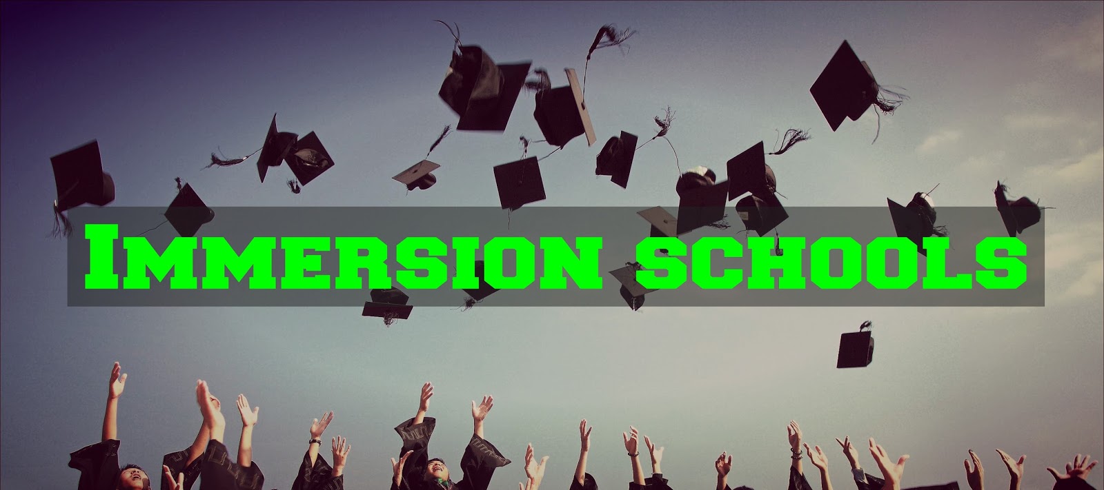 C2 Sample Essay 18 (Immersion schools)