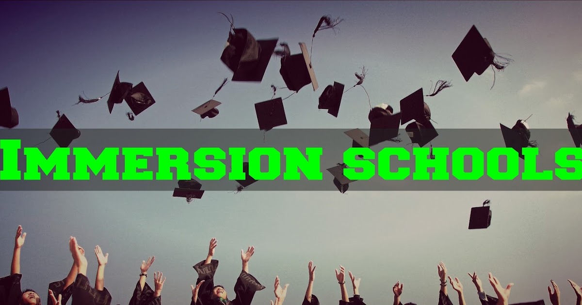 C2 Sample Essay 18 (Immersion schools)