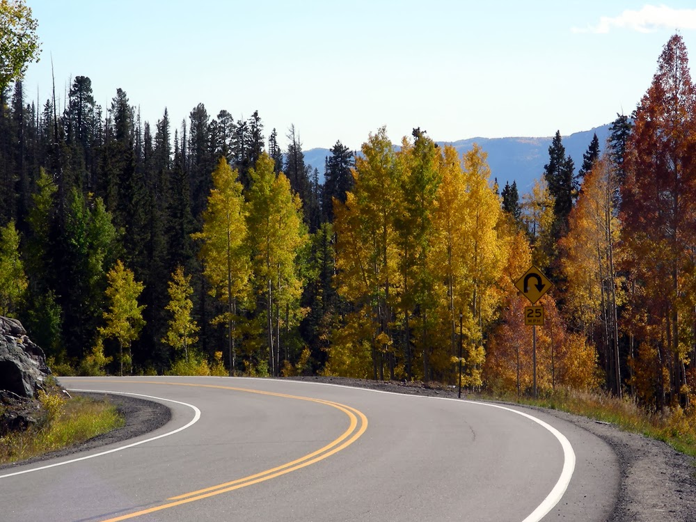 A SHARP BEND IN THE ROAD 16 SHORT STORIES READY TO BE PUBLISHED