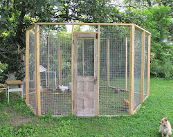 chicken portable coop frame mobile hen runs coops goes range cage