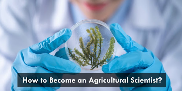 How to become an agricultural scientist?