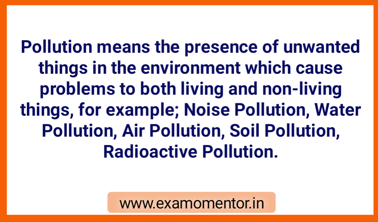 pollution in villages essay