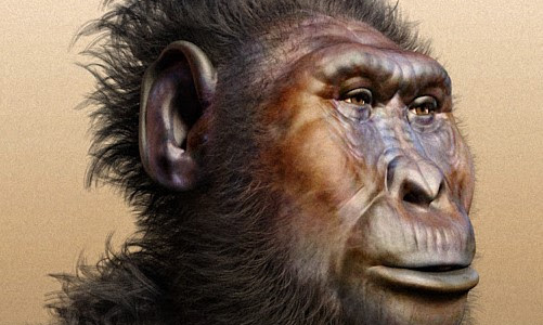 [LENGKAP] Sejarah Tentang Australopithecus Boisei
