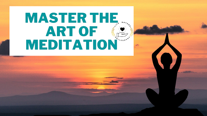 Meditation Guide | Master the Art of Meditation