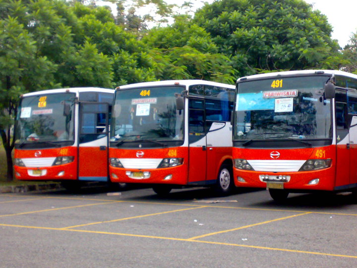 Sewa Bus Pariwisata Warga Baru Scorpion X:  Kenyamanan dan Keamanan dalam Setiap Perjalanan