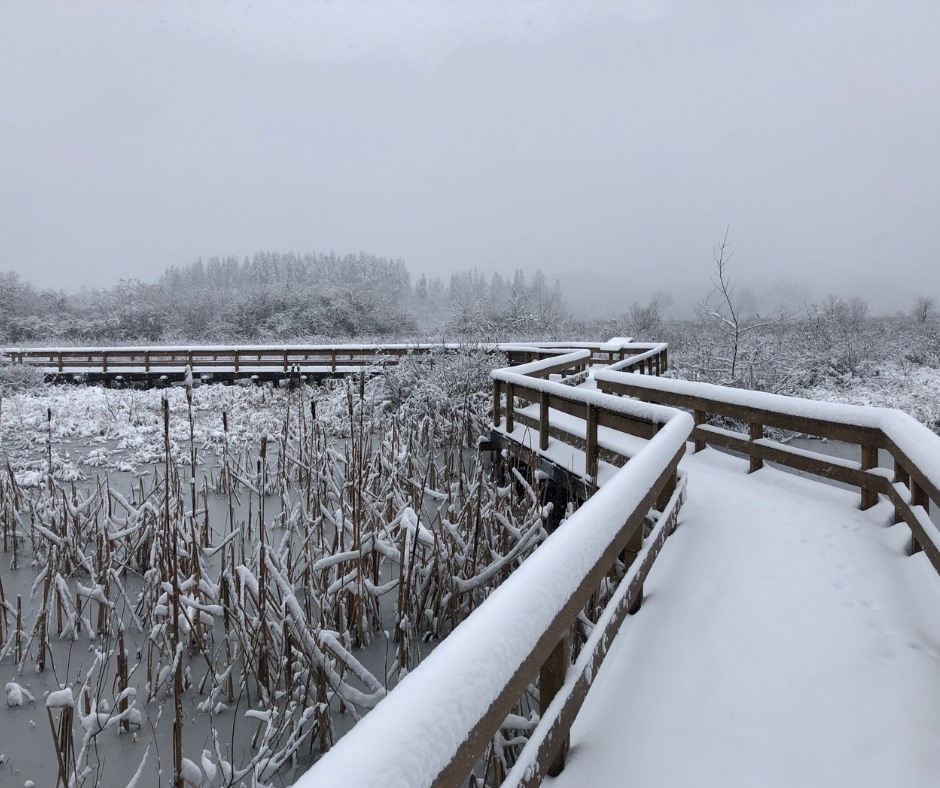 Shoreline Area News Washington State Parks announces its annual