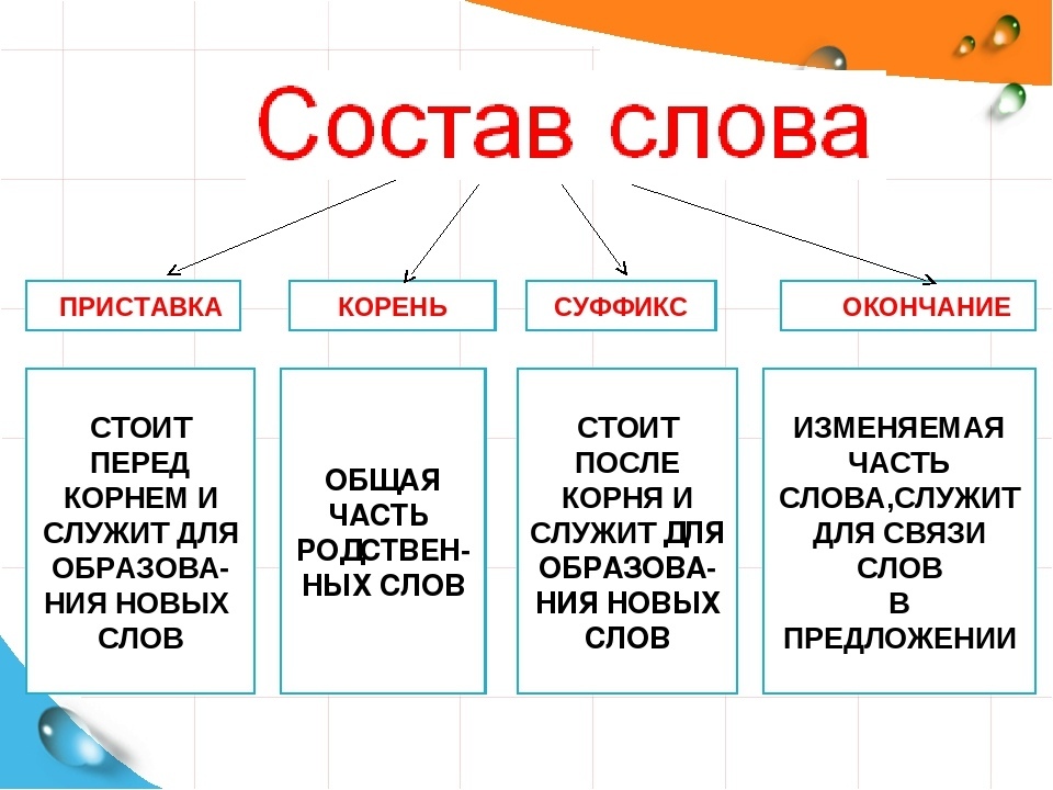 Слова со всеми частями слова примеры Правописание приставки корня суффикса и окончания 37 картинка