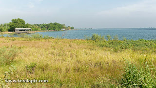 View of landscape & lake near Mulavukad boat jetty