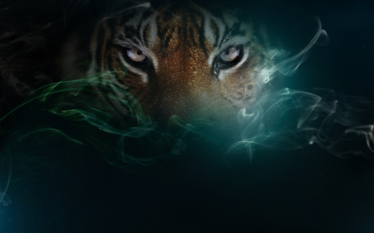 Real Tigers Wallpaper 3D Full HD 4K free | Top Model Hairstyle