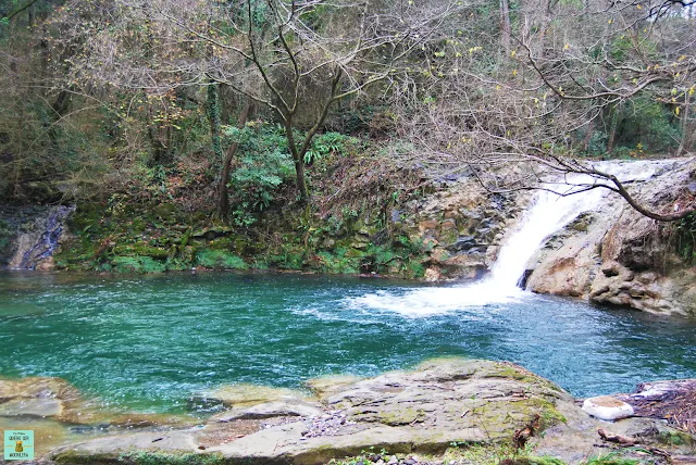 Gorg de la Plana, La Garrotxa