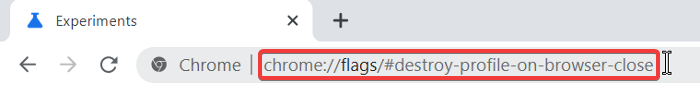 chrome уничтожить профиль в браузере закрыть адрес флага