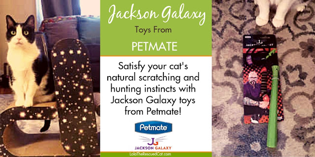 Petmate|Jackson Galaxy