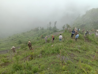 IMG 20200719 WA0023