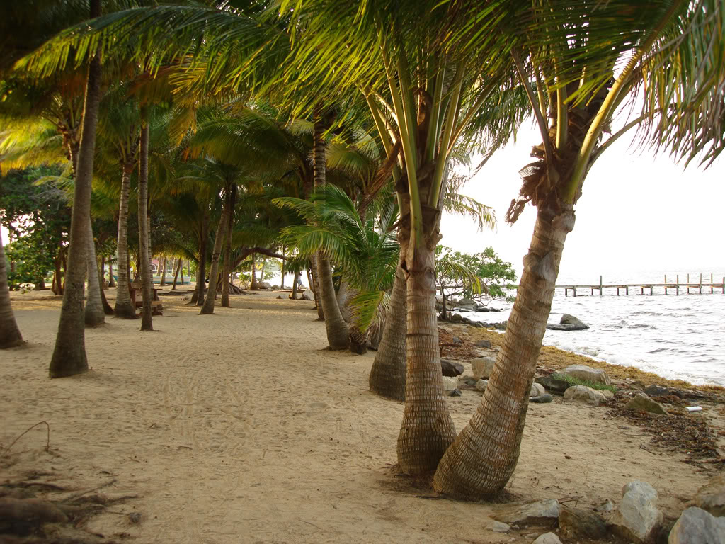 Taking Belize Where to Live in Belize? Dangriga and Hopkins Area