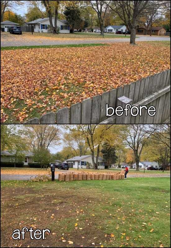 raking leaves before and after