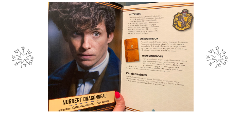 Les Animaux Fantastiques Un Film Magique