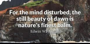 Nature Mind Quotes