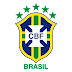 Kit Brazil DLS