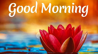 Latest Good Morning Pictures 2023 Good Morning Pictures