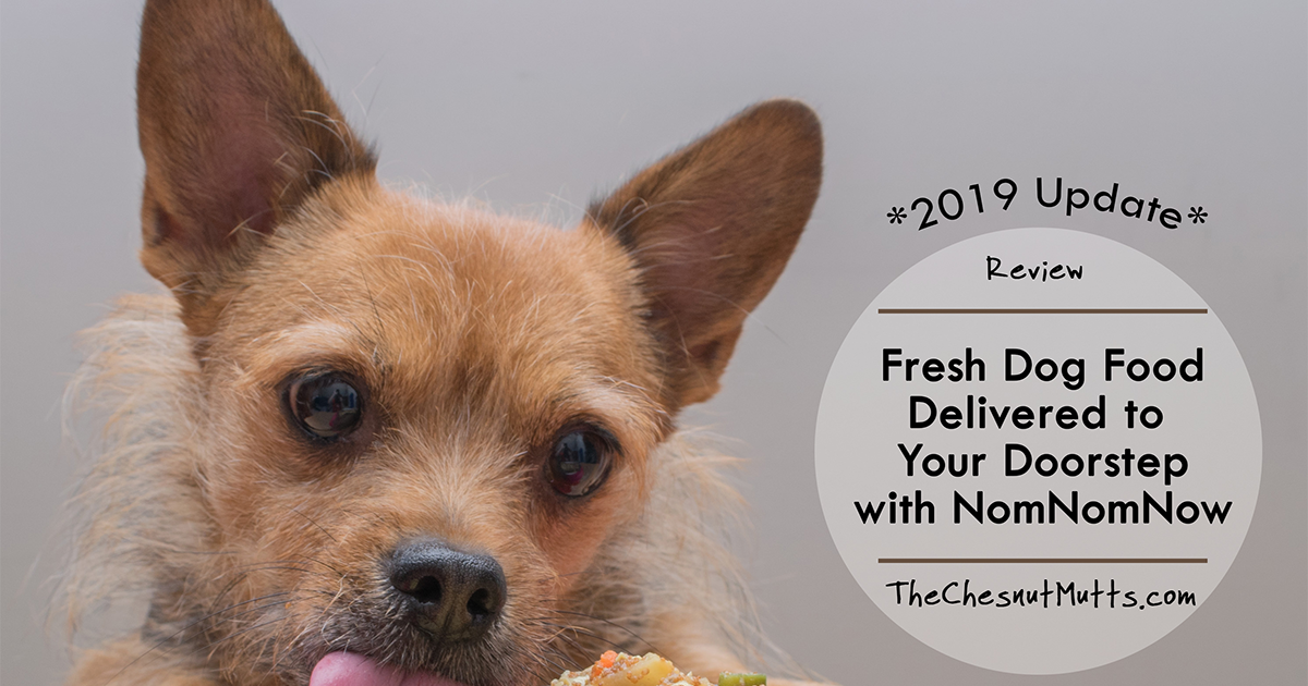 Updated Review Fresh Dog Food Delivered to Your Doorstep with