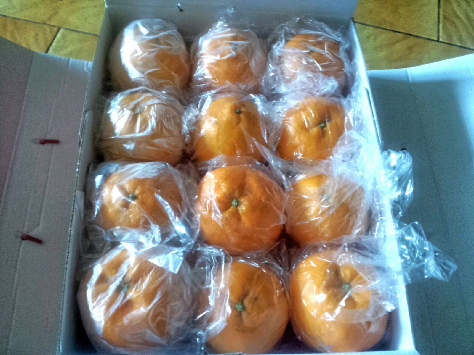 Somewhere in Singapore Blog Mandarin Oranges